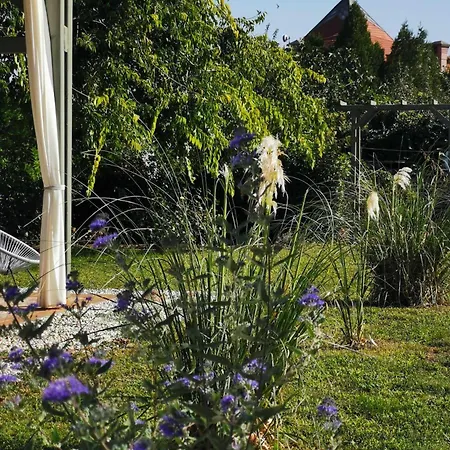 Lelle Casa vacanze Balatonlelle